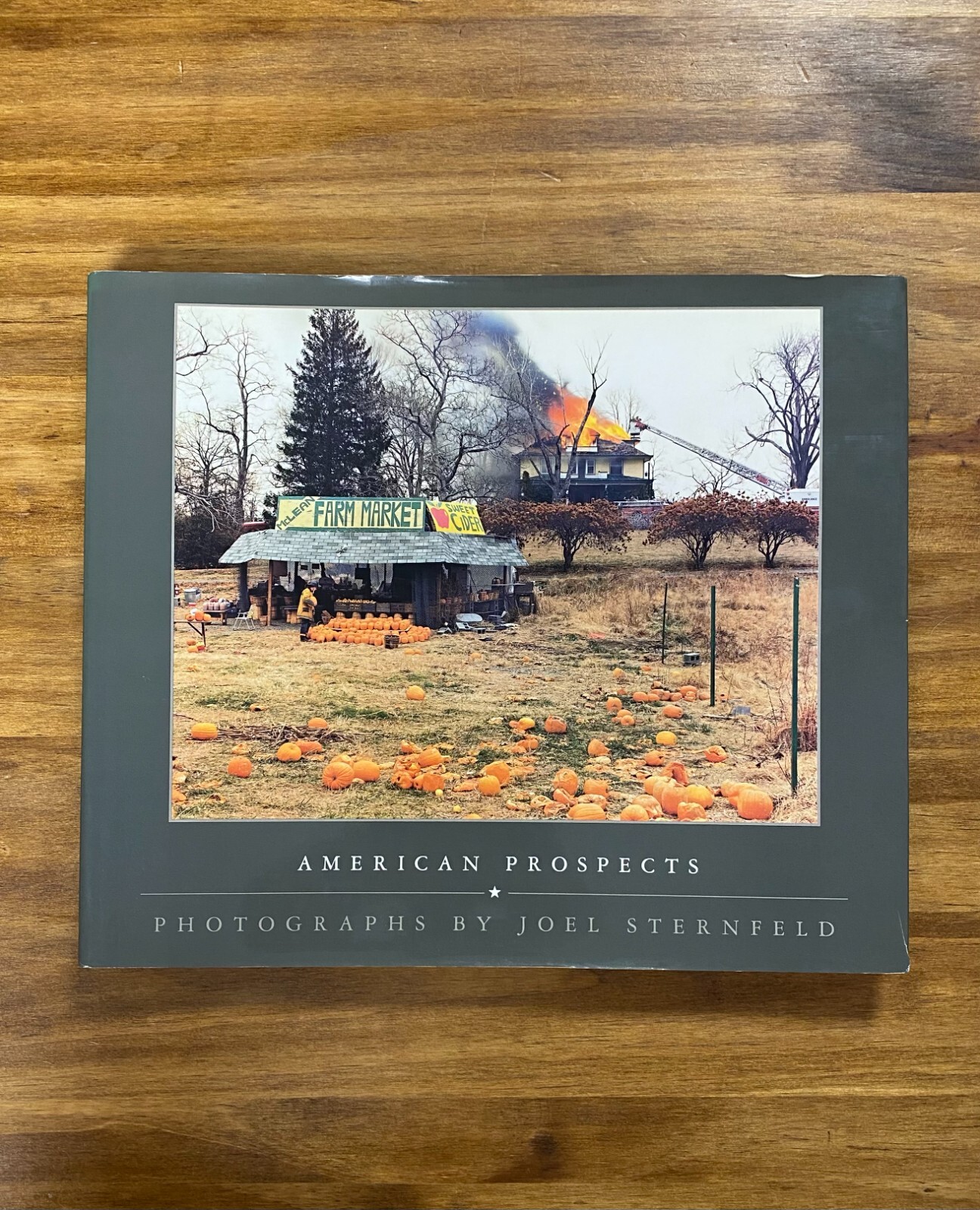 【レア】Joel Sternfeld American Prospects 718C4aDCJDL._UF1000,1000_QL80_.jpg