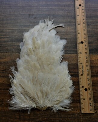 Lot  118,  Natural White Hen Back Saddle Soft Hackle Feathers for Fly Tying