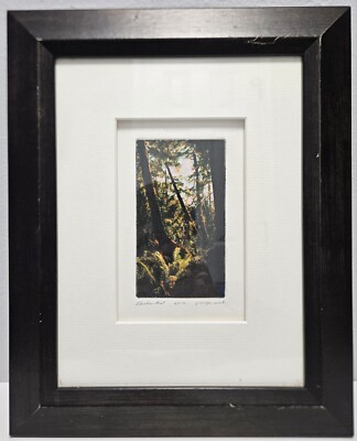 George Raab Signed & #23/70 'ENCHANTED' Etching Aquatint Watercolor Print