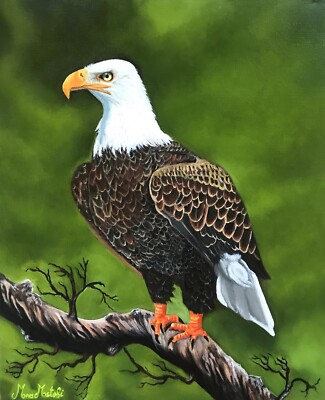 Original oil painting on canvas, eagle, unframed, 16 x 20'', new, realism artwork