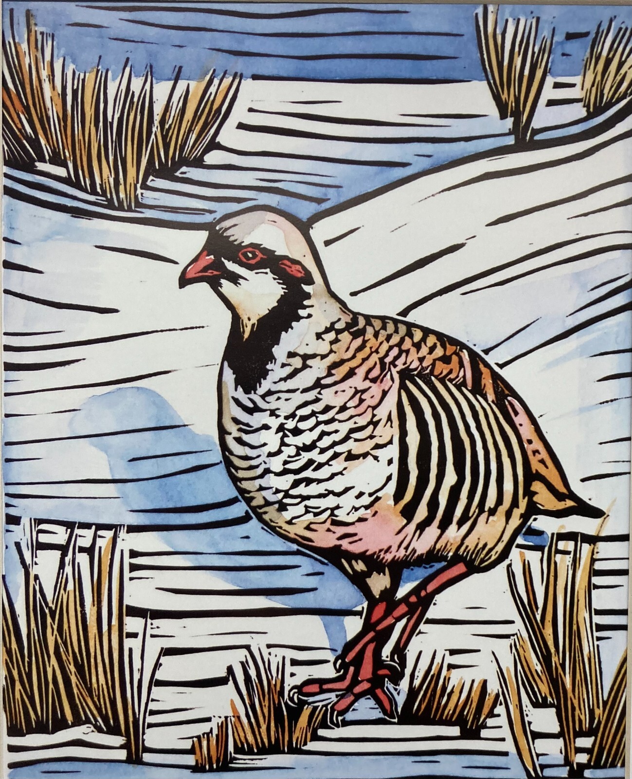 Molly Hashimoto "Chukar with Grasses and Snow" Newly Custom Framed Art Birds