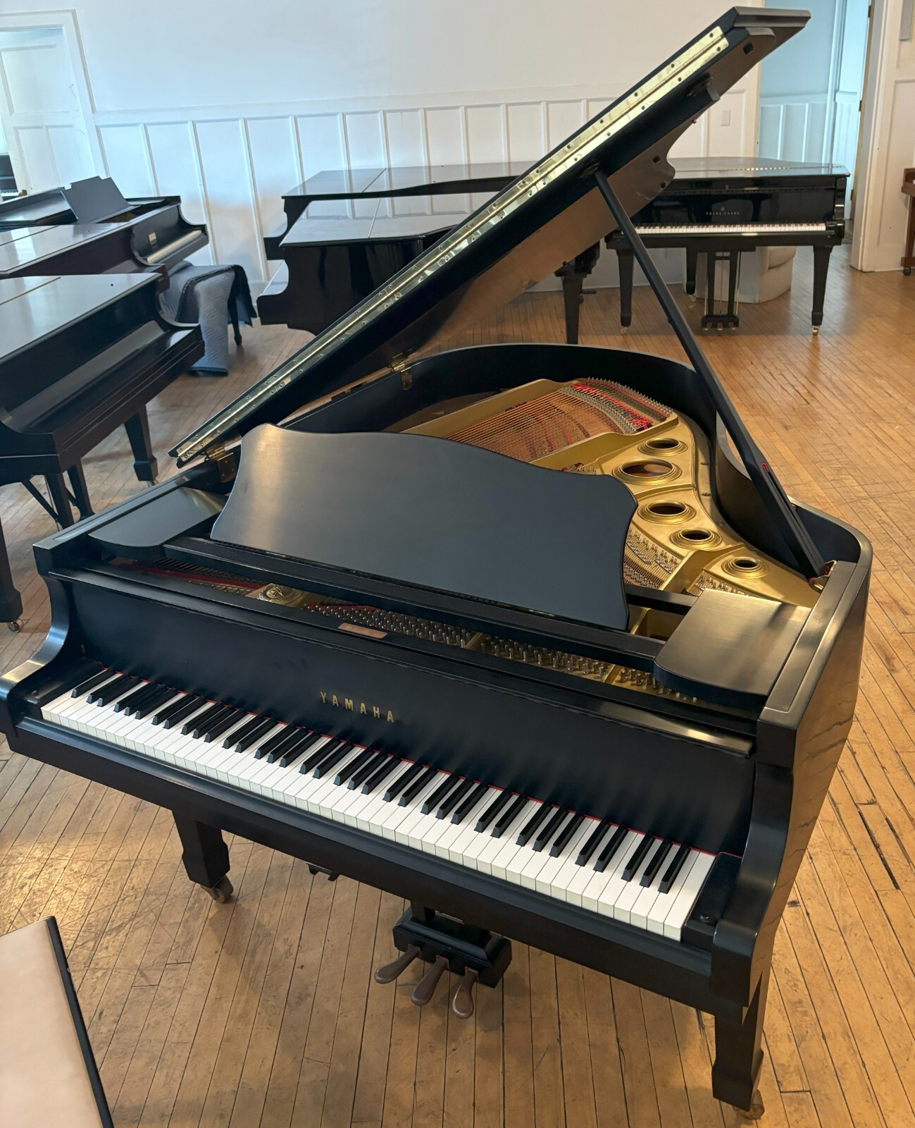 Yamaha C3 6'1 Yamaha C3 6'1
