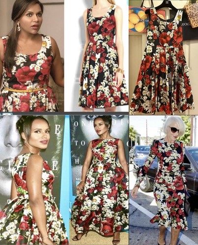 NWT 4 2016 DOLCE & GABBANA POPPY 42 44 6 8 M S D G Midi NWT 4 2016 DOLCE & GABBANA POPPY 42 44 6 8 M S D G Midi