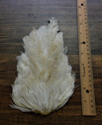 Lot  110,  Natural White Hen Back Saddle Soft Hackle Feathers for Fly Tying