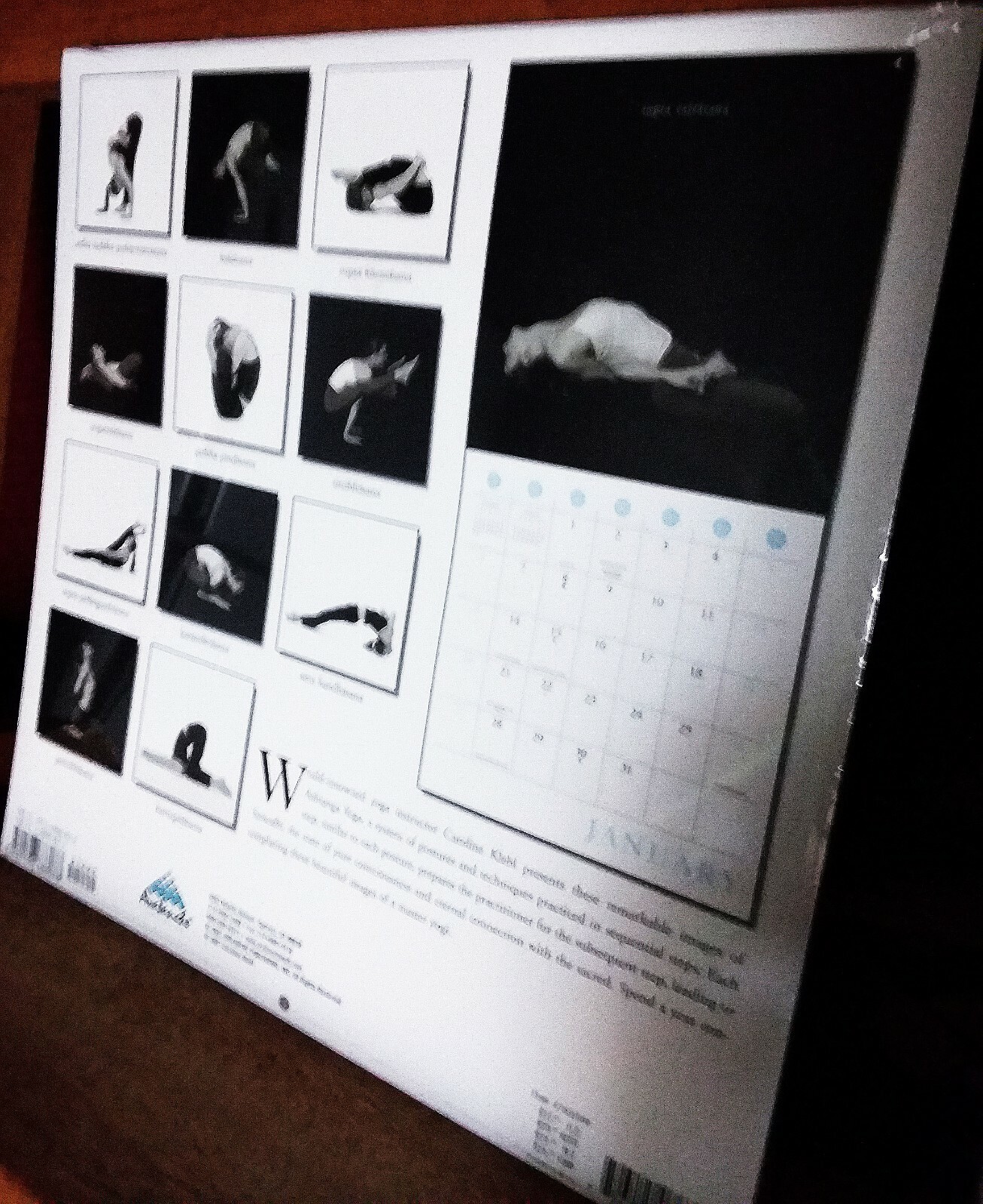 2008 NEW ASHTANGA YOGA Calendar IN SHRINK WRAP