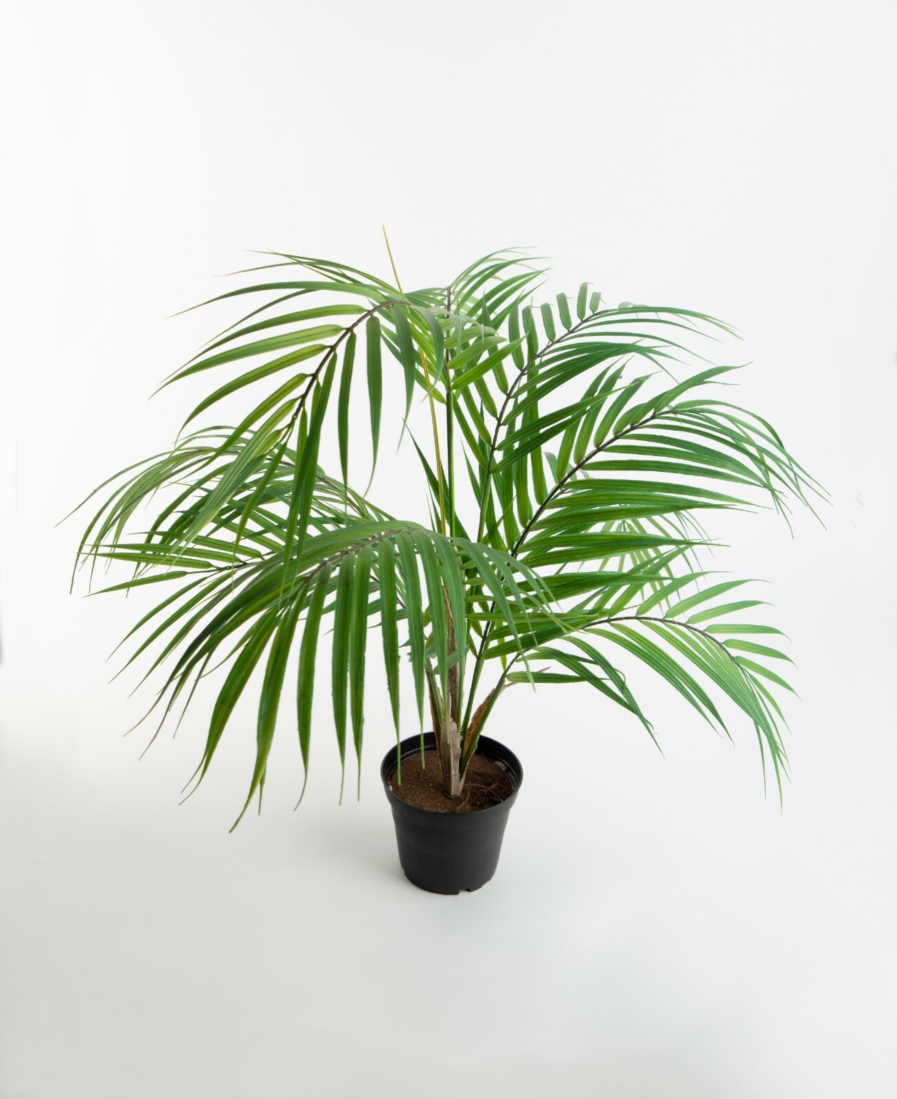 Details About Bergspalm Artificial Palm Indoor Plant Fake Faux Tropical Palm Tree Green