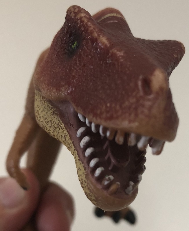 2004 T-Rex Tyrannosaurus Dinosaur K & M 8” Hard Figure