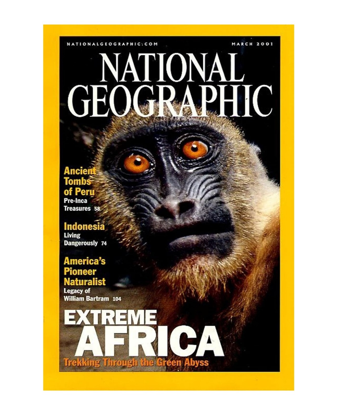 NATIONAL GEOGRAPHIC 創刊から1990年代まで NATIONAL GEOGRAPHIC 創刊から1990年代まで
