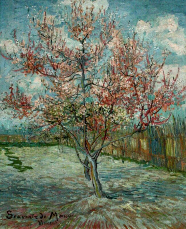 Pink Peach Trees Souvenir De Mauve By Vincent Van Gogh Giclee Repro On Canvas