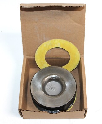 Champion Model SDR Single Disc Spring Loaded, Wafer Check Valve 2SDR12-LSVS-P