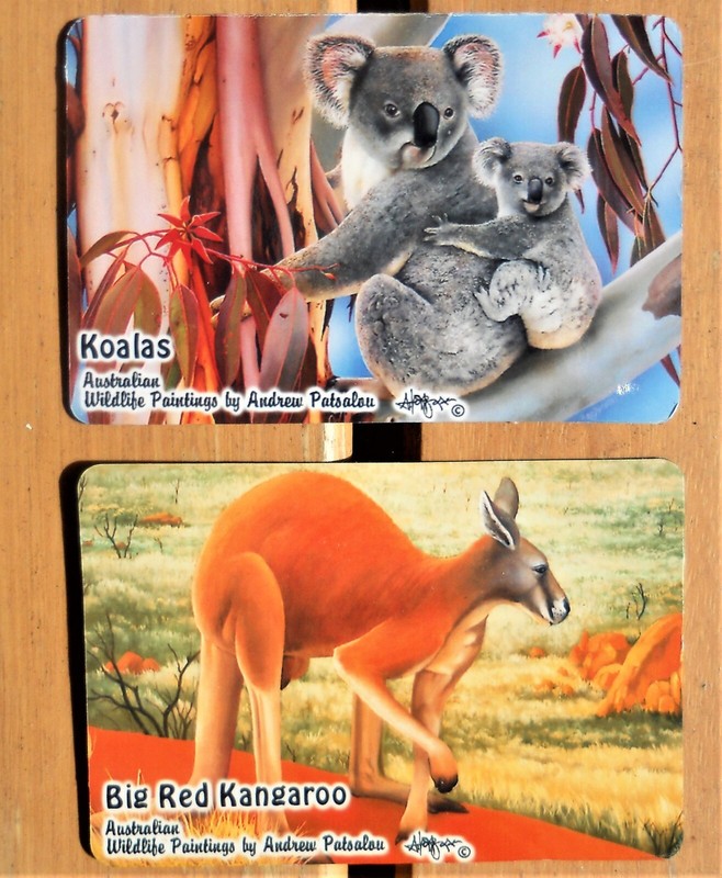 KOALA KANGAROO FRIDGE MAGNETS AUSTRALIAN SOUVENIR