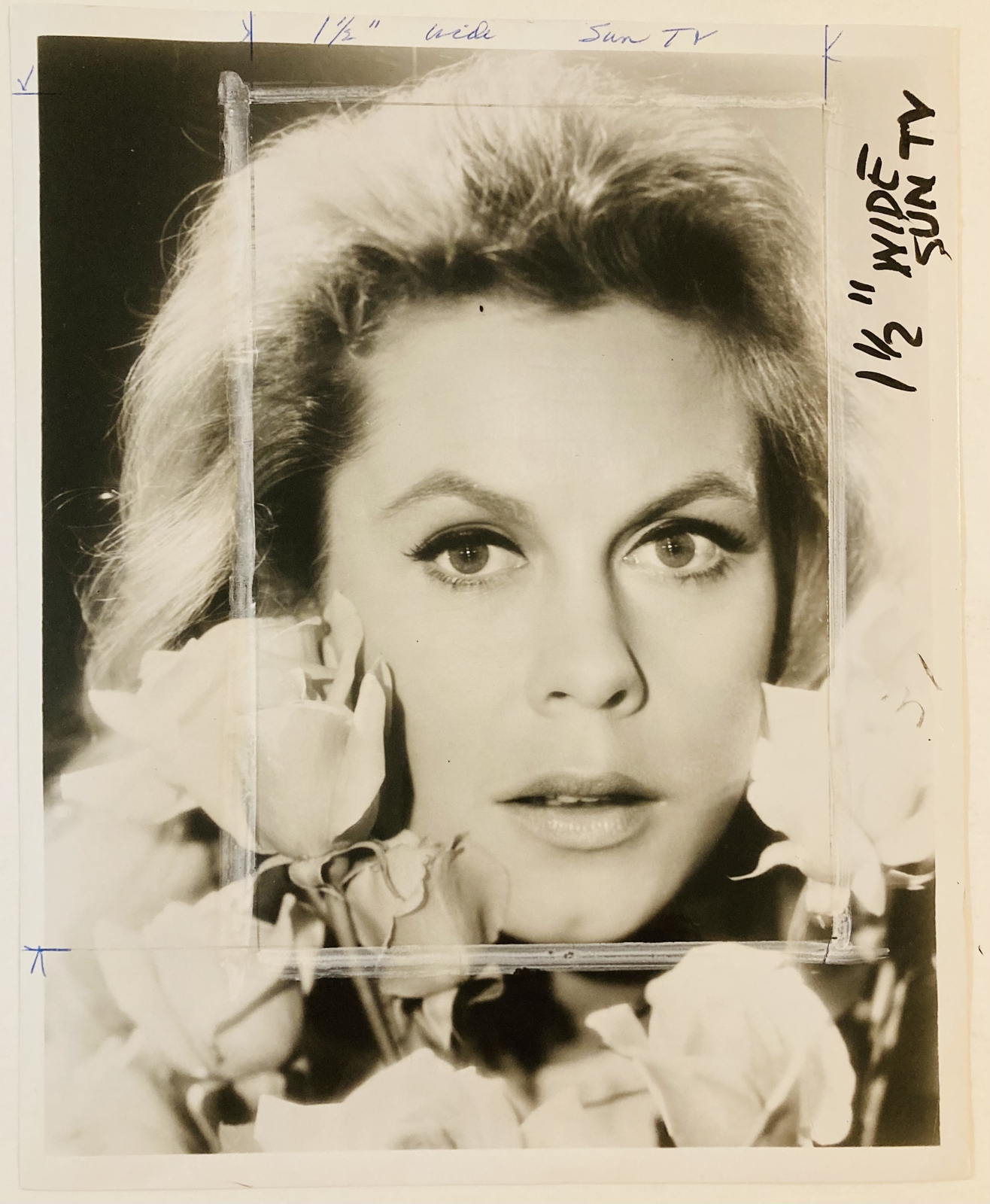 elizabeth-montgomery-press-photo-1967-bewitched-stamped-dated-published-aug-24th