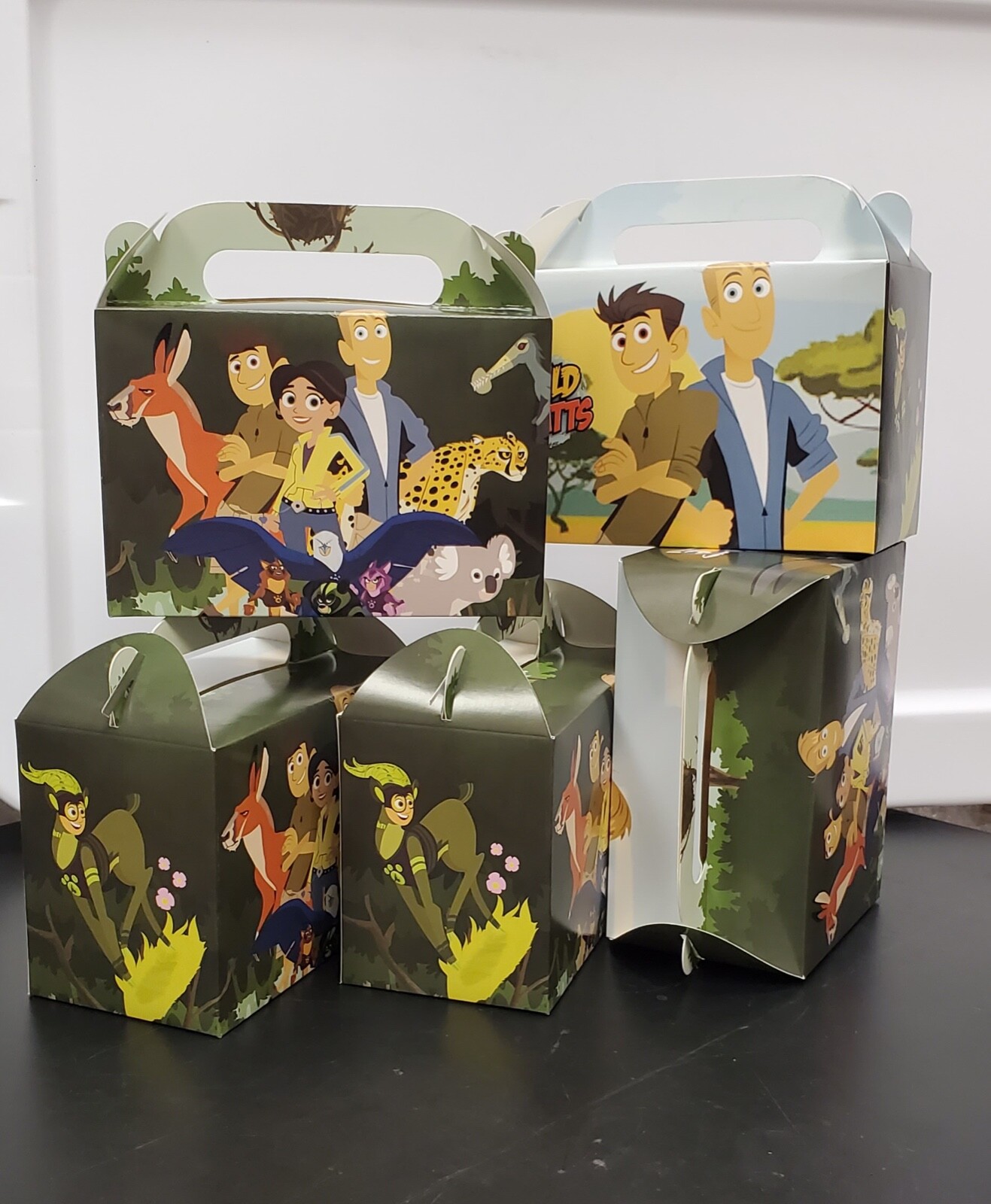WILD KRATTS box birthday party supplies favor centerpiece decoration event theme