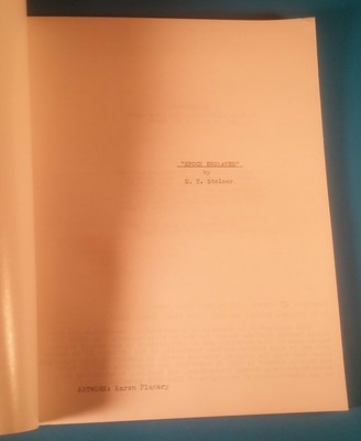 Spock Enslaved  Star Trek Fanzine