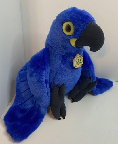 Hyacinth Macaw 12 Hyacinth Macaw 12