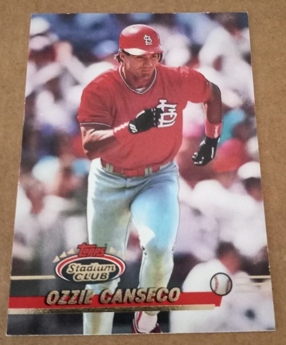 topps Baseball CARDS 1993年　未開封 Amazon.com: 1993 Topps Baseball Series 1 Wax Pack Sealed (15
