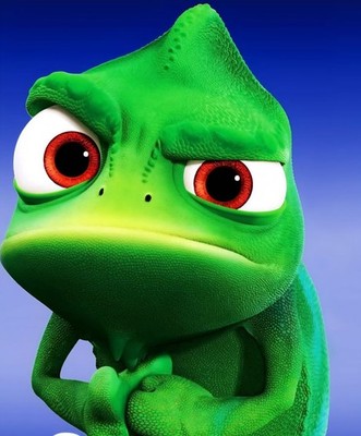 Objectfoto('s) van geverifieerde koper