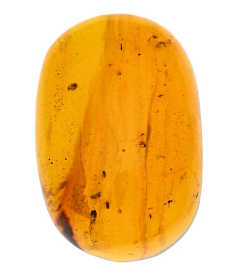 Large 18.2g piece of Dominican Amber, Los CaCaos mine, Fossil insect inclusions