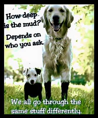 How deep is the mud? Depends We all go through the same stuff differently MAGNET