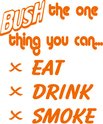 BUSH the one thing!  Funny Quality Vinyl Decal 43 different colors available
