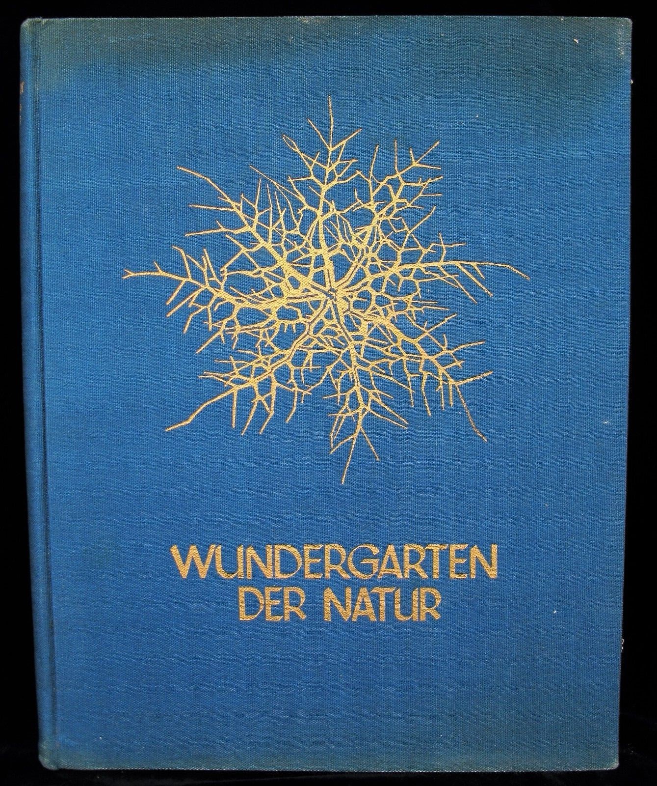 FIRST EDITION KARL BLOSSFELDT WUNDERGARTEN DER NATUR 1932 ART IN NATURE PHOTOS