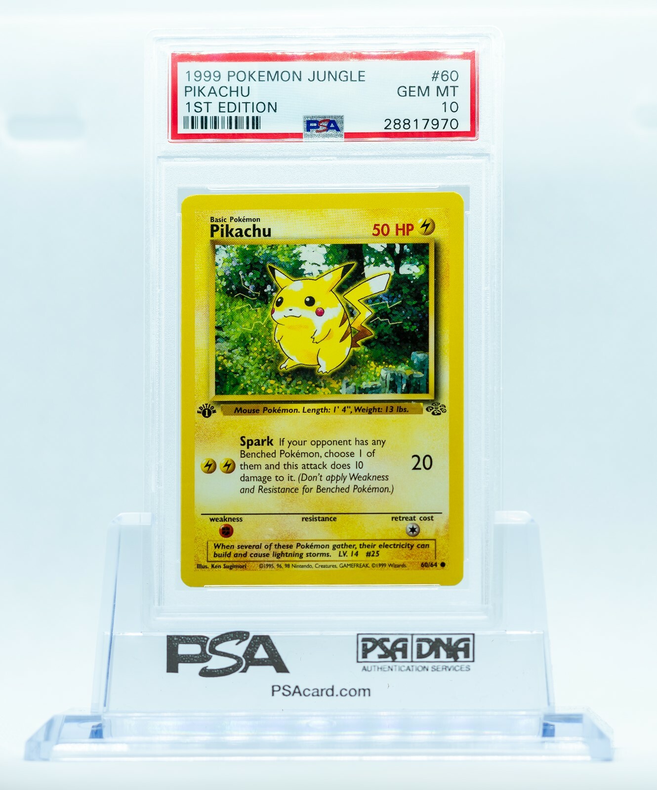 1999 WOTC POKEMON JUNGLE TCG PIKACHU 1ST EDITION PSA 10 GEM 1999 WOTC POKEMON JUNGLE TCG PIKACHU 1ST EDITION PSA 10 GEM