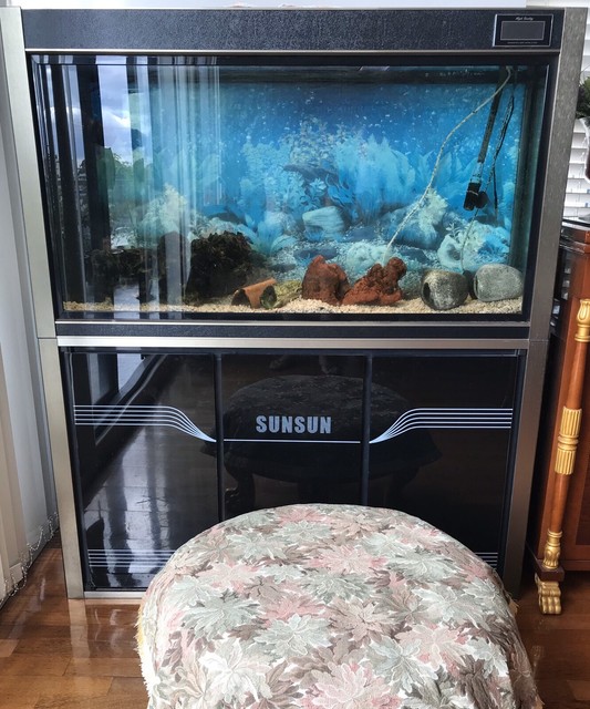 Fish tank for sale Fish Gumtree Australia Inner Sydney