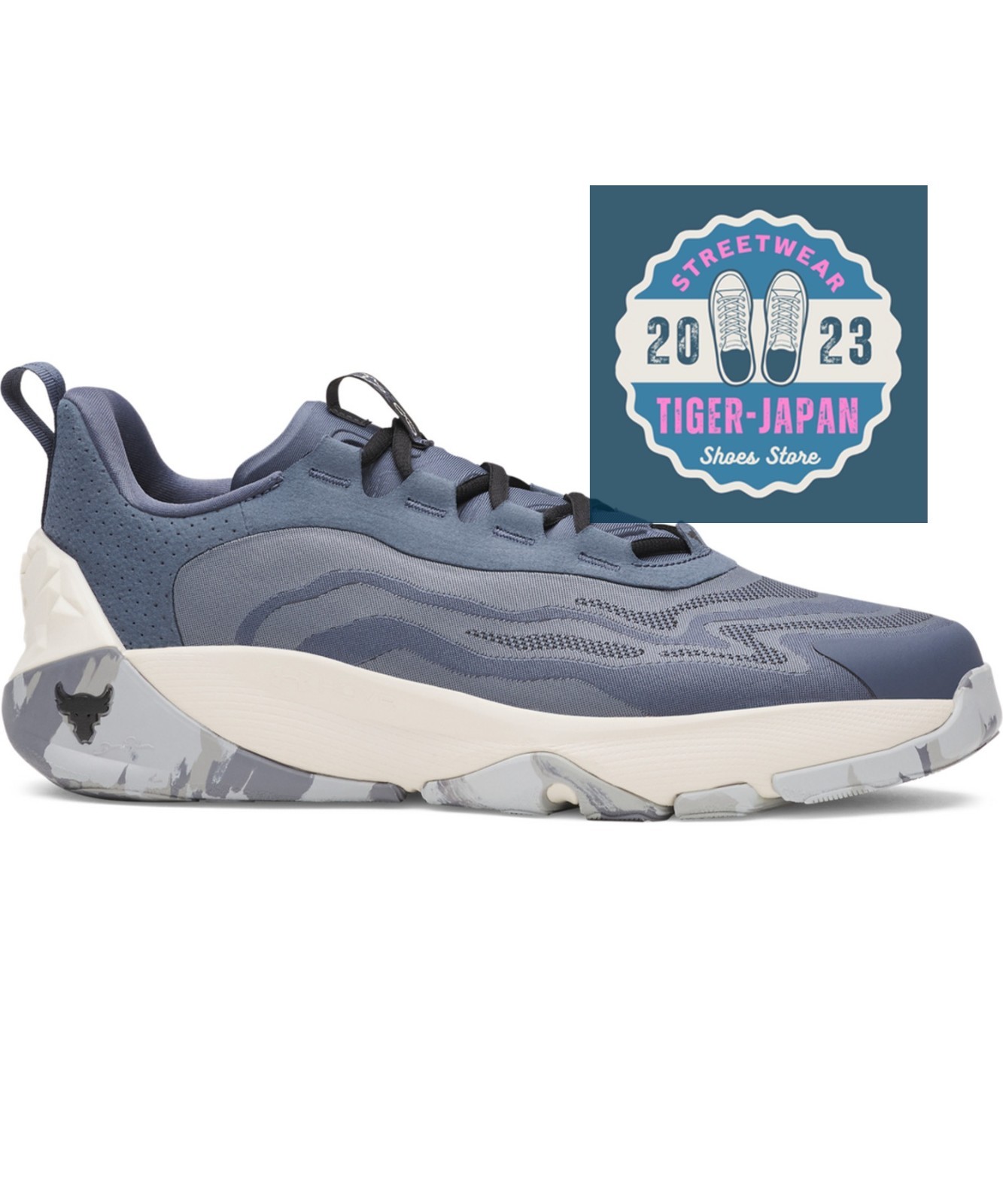 トップス Under Armour PROJECT ROCK TRAINING Men's Under Armour Project Rock Training Tee :Blue Mirage
