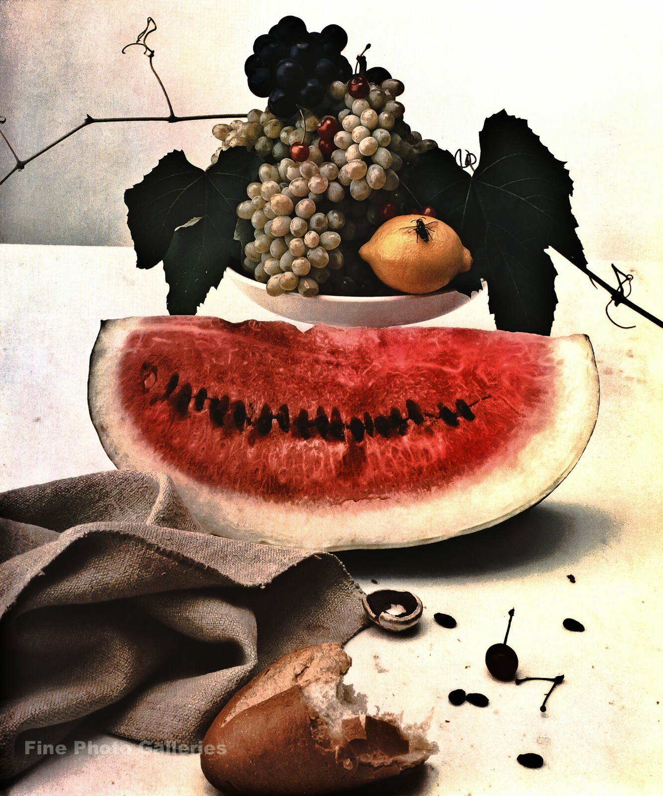 芸術写真 Still Life | Irving Penn ?height=489&quality=80&