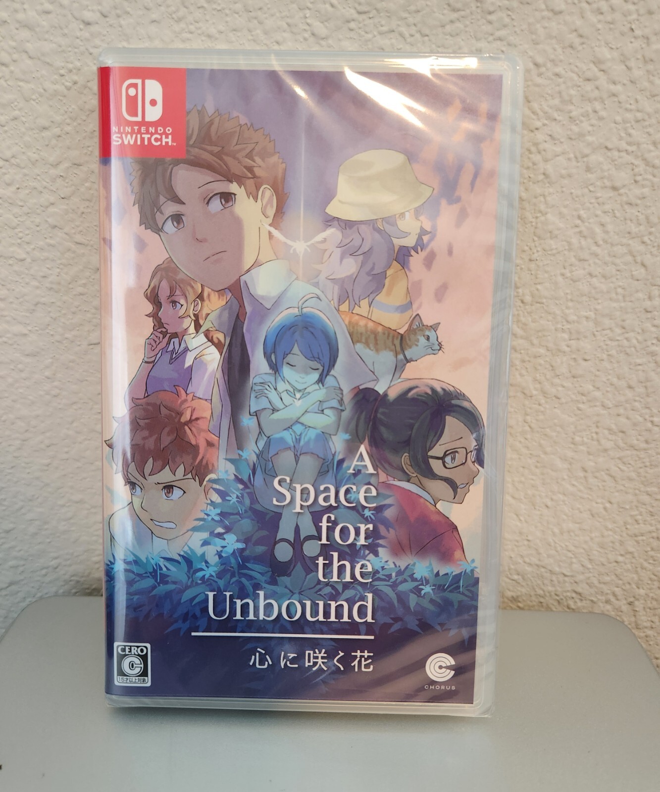 【新品】A Space for the Unbound Switch Amazon.com: A Space for the Unbound - Nintendo Switch