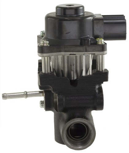 ひると　　　　F,N ,M,P,V 皆様こんにちは♪ 今週末の展示予定のデモカーをご案内いたします