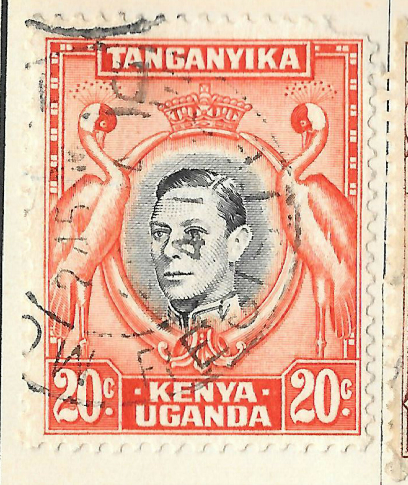 洋書　タンガニーカ　バス　Tanganyika Buntbarsche２ 洋書 タンガニーカ バス Tanganyika Buntbarsche2 洋書