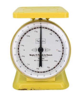Scales Scale Model