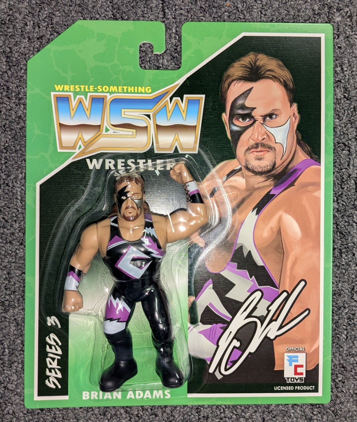 WWE フィギュア 3体 WWE Wrestling Classic Superstars Champion Series 10 Arn