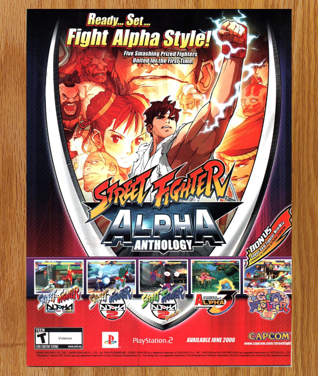 希少品 BULL FIGHTER SEGA ALPHA パンフレット チラシ 希少品 BULL FIGHTER SEGA ALPHA パンフレット チラシ 希少品 BULL