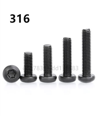 Black 316 Stainless Steel Torx Socket Pan Head Screws M2.5 M3 M4 M5 M6