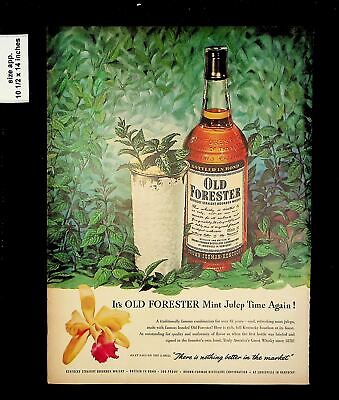 1951 Old Forester Whisky Mint Julep Vintage Print Ad 015706