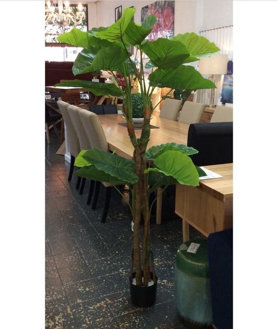 Artificial Tropical Plant 160cm (Brand New) Decorative