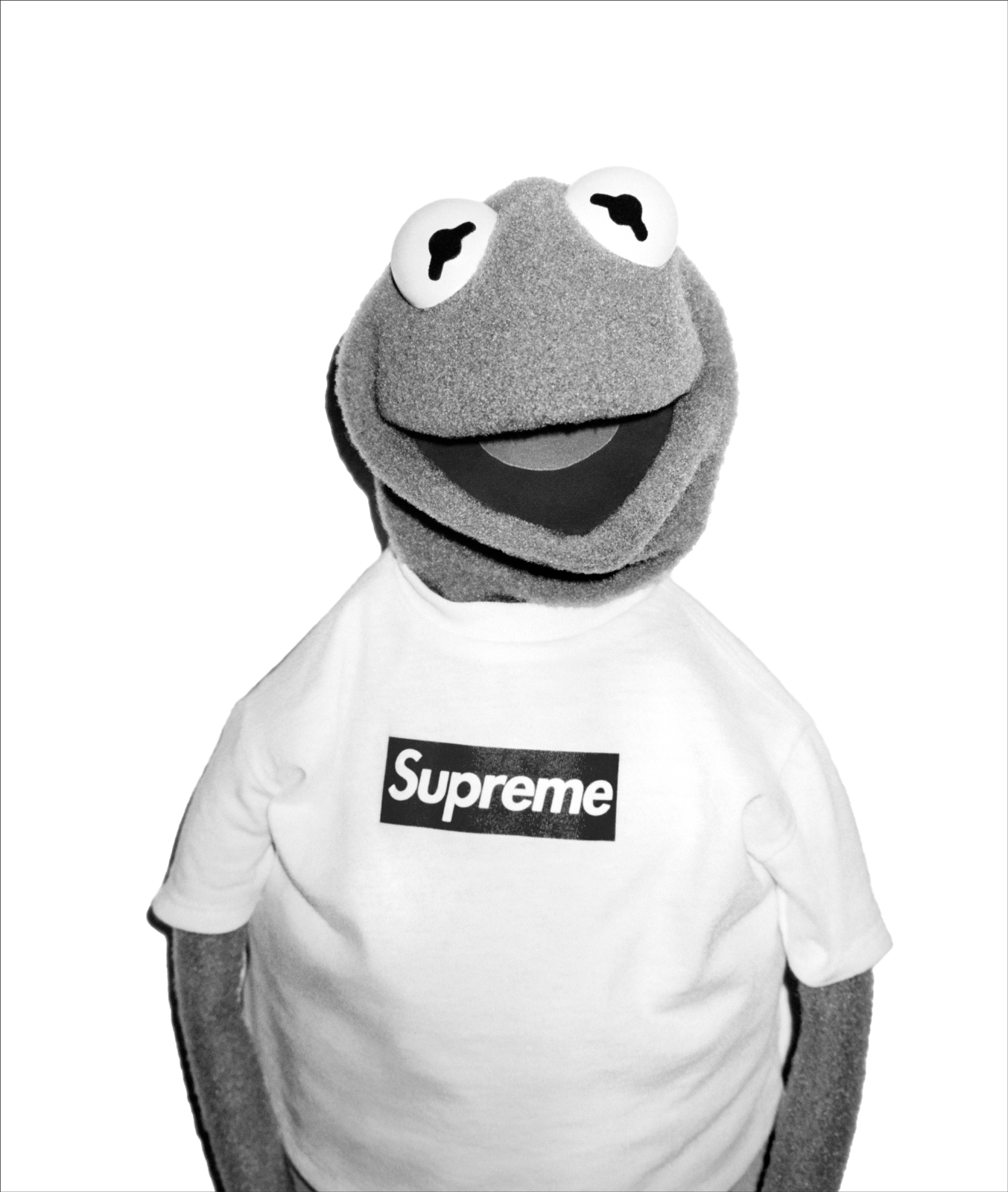 Kermit Supreme Kermit The Frog A3 Poster Print 260gsmのebay公認海外通販 セカイモン