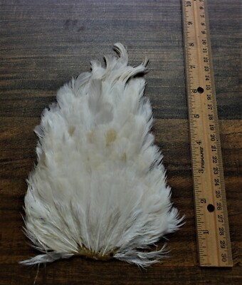 Lot  108,  Natural White Hen Back Saddle Soft Hackle Feathers for Fly Tying