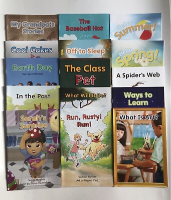 My View Leveled Reader Book Bundle - Grade 1, Level D, 15 Books - Priority Ship