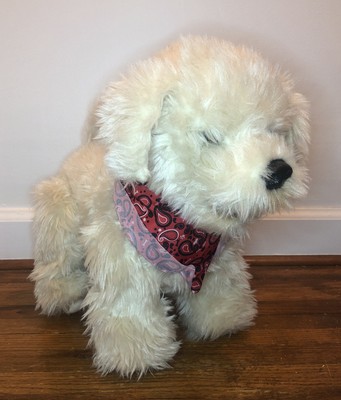 georgie the interactive dog