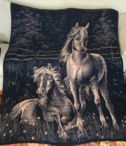 $_12.JPG?set_id=880000500F