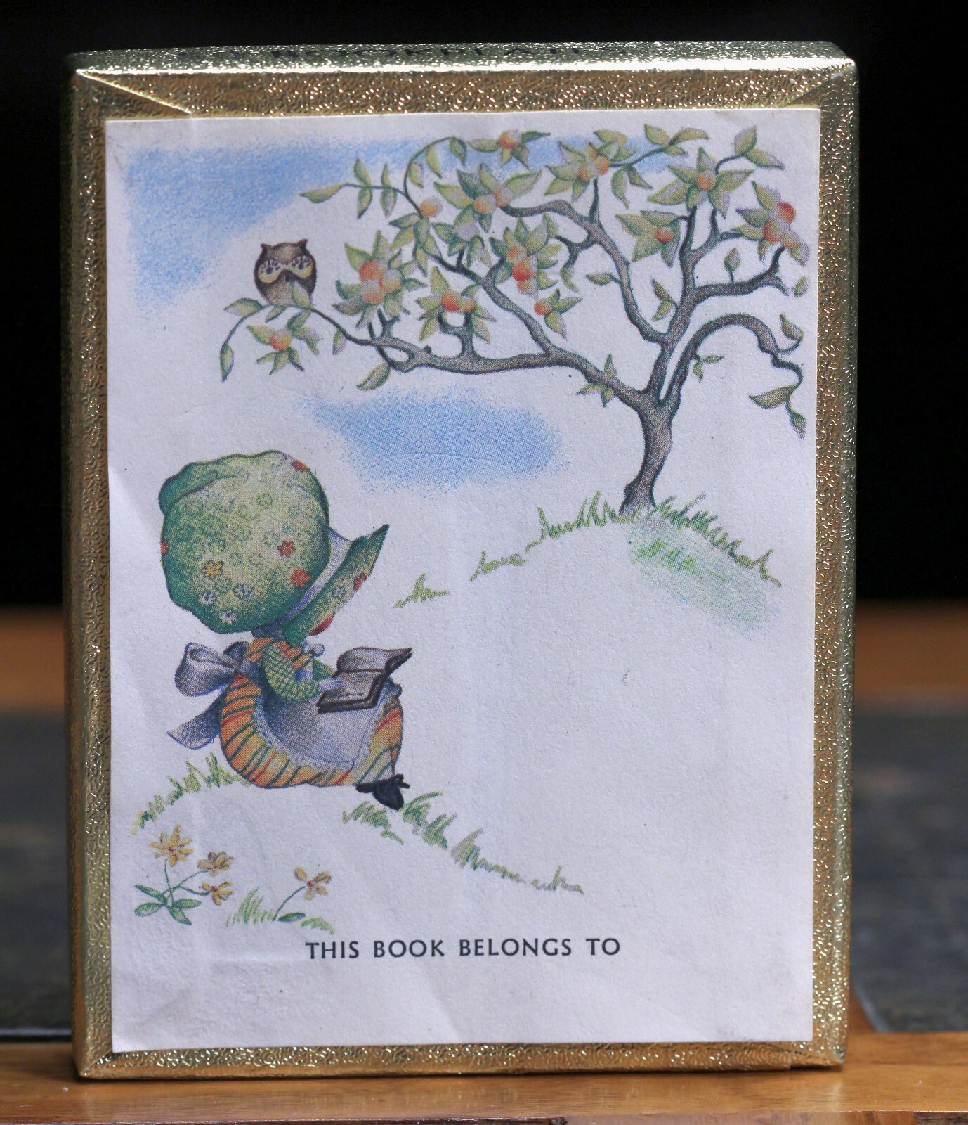 Antioch Bookplates Bonnet Girl Holly Hobbie 41 bookplates labels vintage EUC