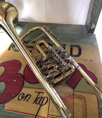 Trumpet Trompete Trumpet