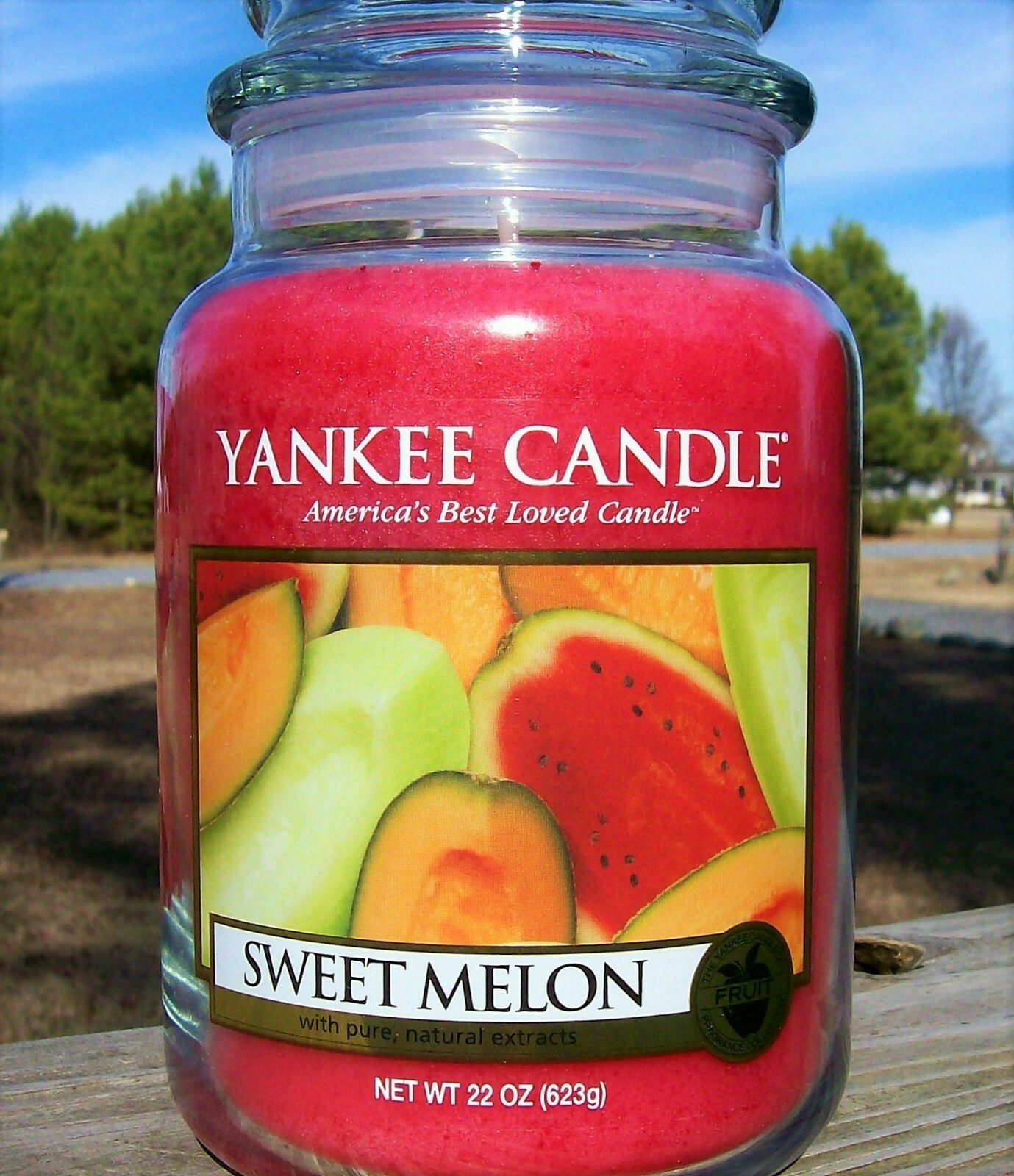 廃盤品 YANKEE CANDLE シアーガーデニア ホワイトガーデニア セット 廃盤品 YANKEE CANDLE シアーガーデニア ホワイトガーデニア