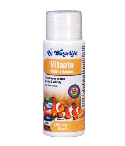 Can Selcon Vitamin Supplement Go Bad