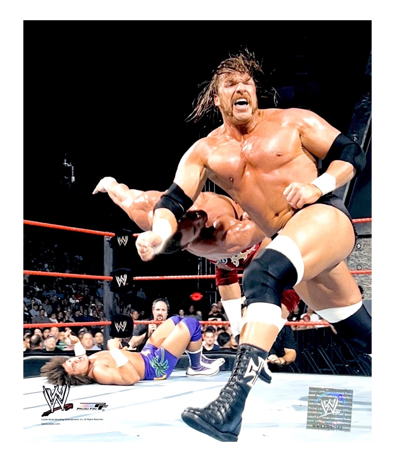 トリプルH直筆サイン入り超特大写真…Triple H…プロレスラー… トリプルH直筆サイン入り超特大写真…Triple H…アメリカの