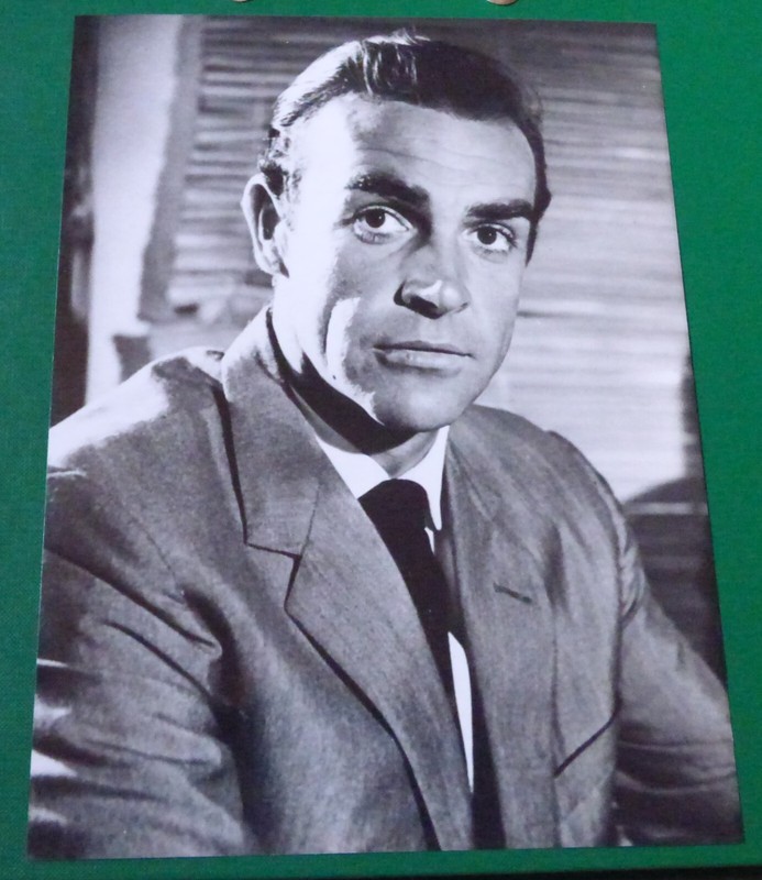 Photo James Bond Sean Connery 17,7x24cm 7x9,5