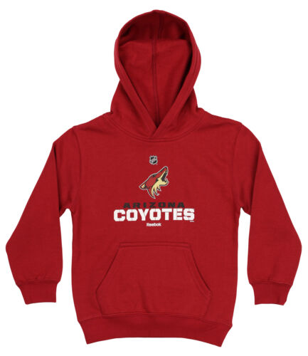 Флисовая толстовка Reebok NHL Kids (4-7) Arizona Coyotes FLC Clean Cut Team